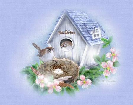 Petit Oiseau